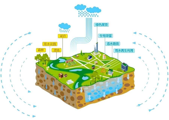 175507271.jpg 274443fa96d64bac8f8d69103abed28a.jpg